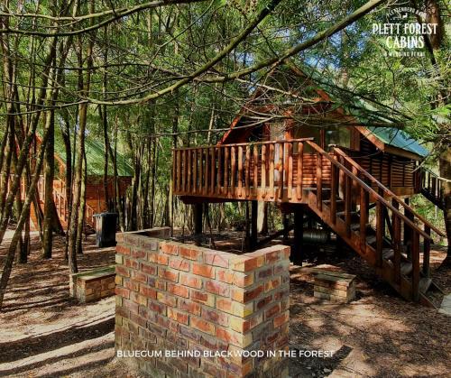 Buffalo Hills Game Reserve Hotel | Plett Forest Cabins