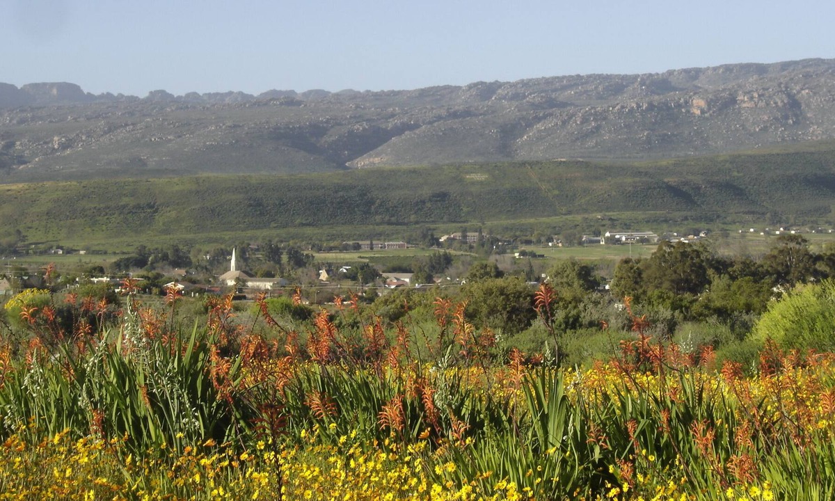 Cederberg House | Quaint and characterful on Park