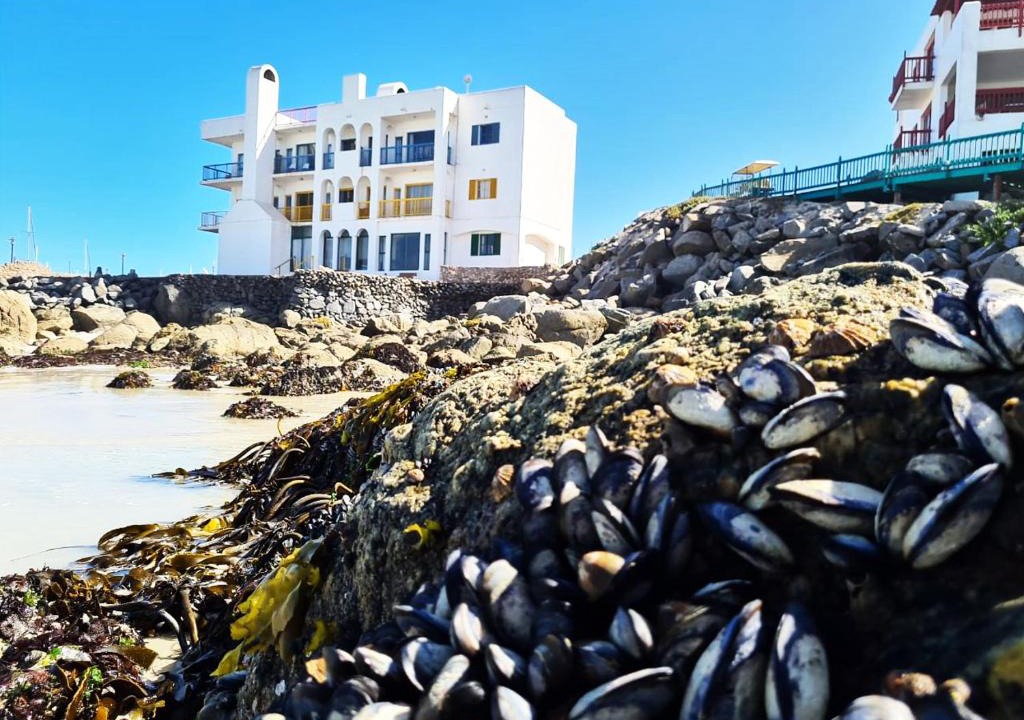 Mykonos Apartment | Raaswater Langebaan Self Catering