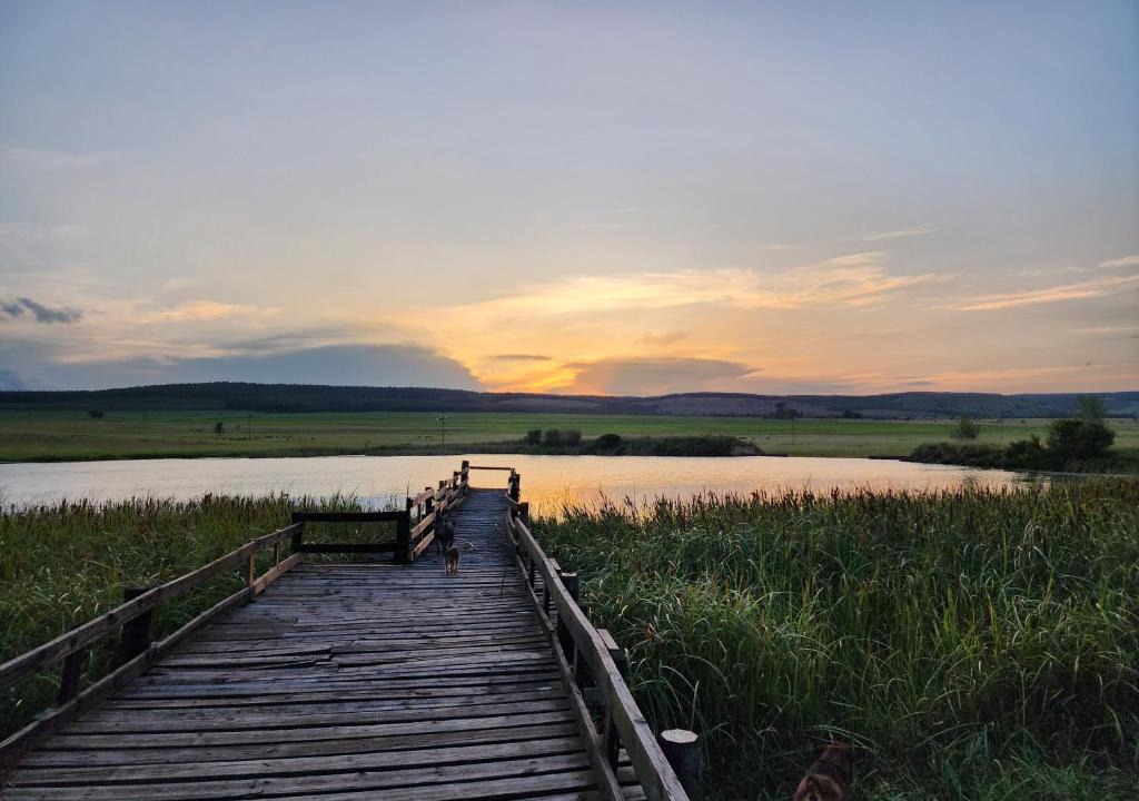 Mkhondo Bed & Breakfast | Reedbuck Lodge