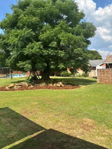 Springs House | Revitalize