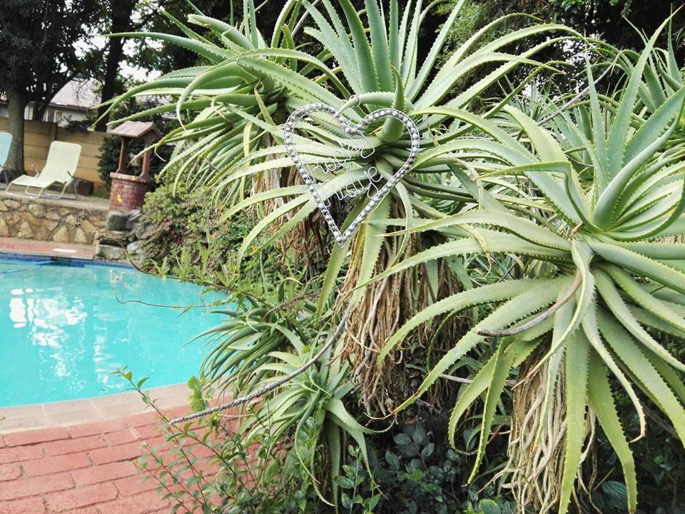 Constantia Kloof Apartment | Rocky Ridge Guest House SELF Catering - No alcohol allowed