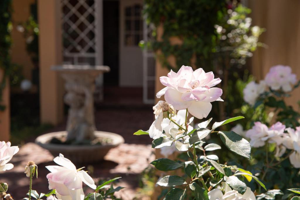 Klerksdorp Bed & Breakfast | Roses and Pebbles B & B Guest House