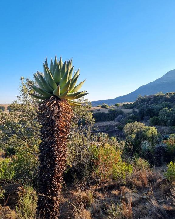Maletswai House | Saffier river cottage Farmstay