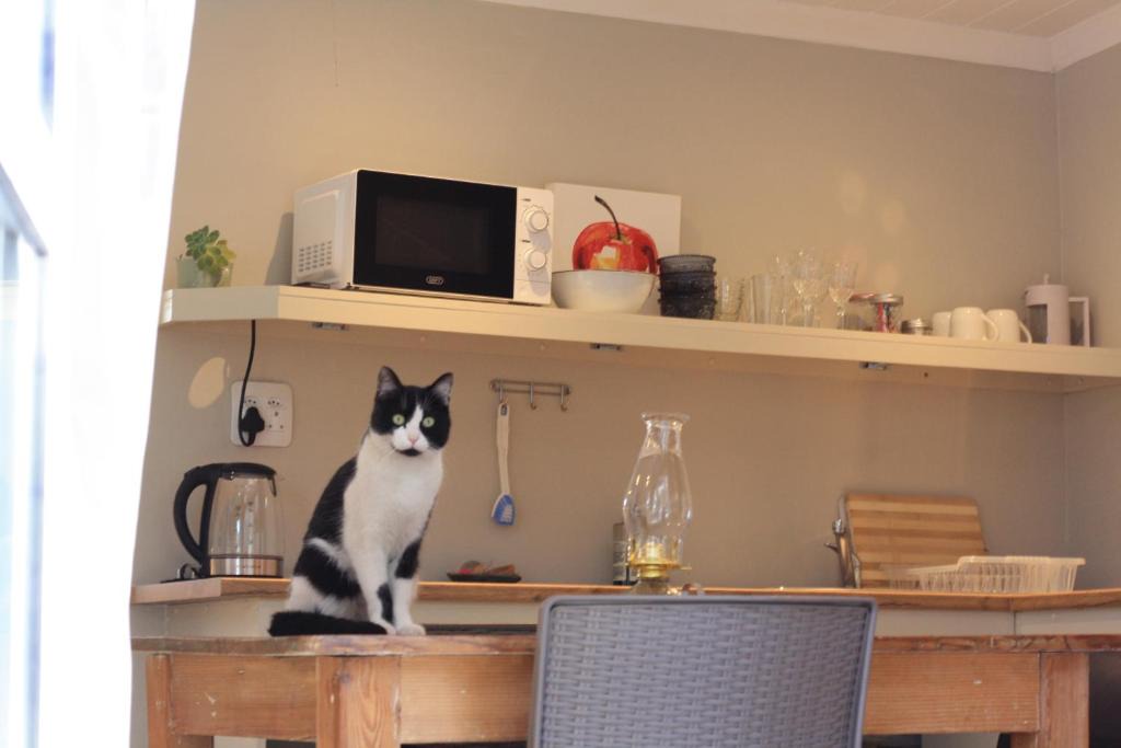 George House | Sarah's Place- Heatherlands,George
