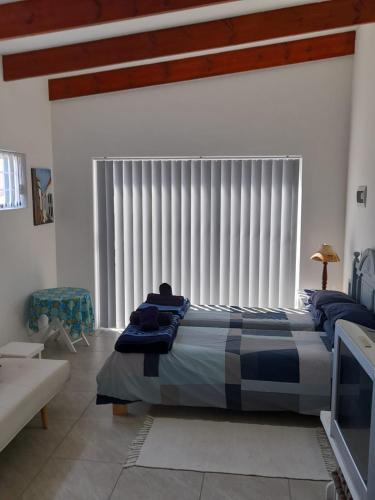 Still Bay House | Sea Coral