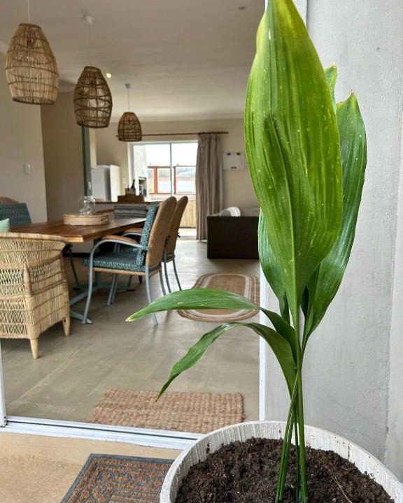 Jeffreys Bay Apartment | Secrets 1 at Waterkant 7
