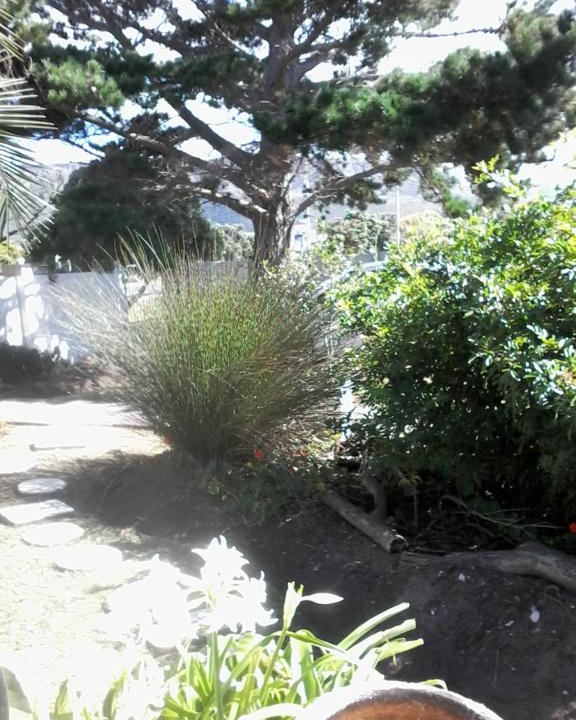 Sandbaai House | Self Catering Unit 6, Sandbaai