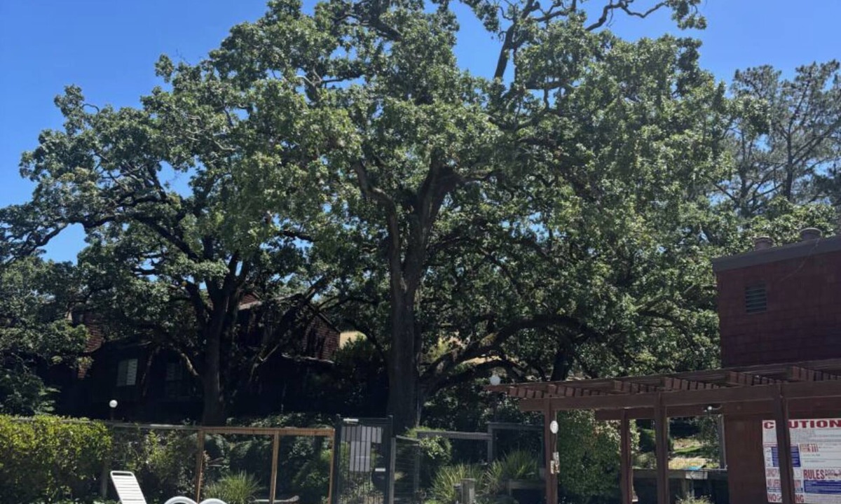 Novato House | Serene 3 br townhome with pool/Hot Tub in Novato