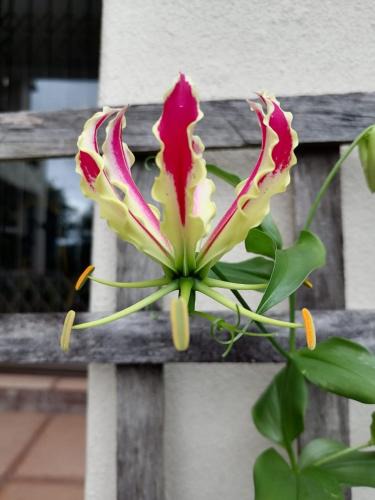 Westville Bed & Breakfast | Serenity Place B&B and Conference, wedding venue