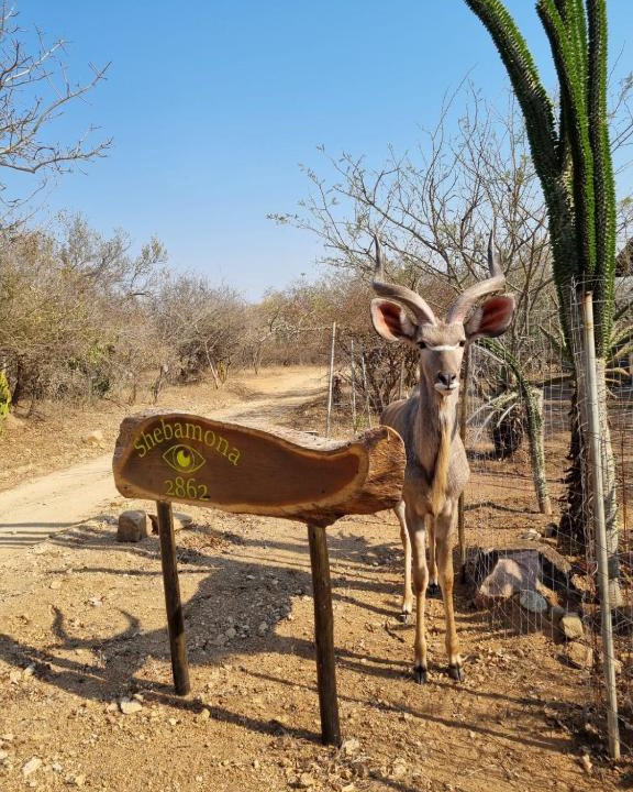 Marloth Park House | Shebamona No loadshedding