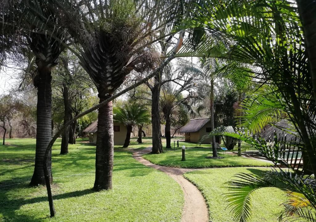 Hoedspruit Cabin | Shumba Safari Bush Camp
