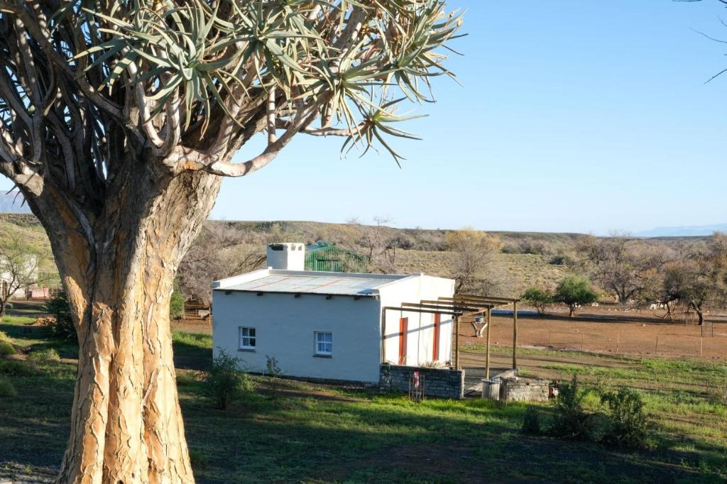 Karoo Hoogland Apartment | Skooltjie Cottage in the Tankwa Karoo