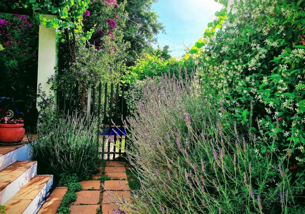 Franschhoek Apartment | Sunny Lane