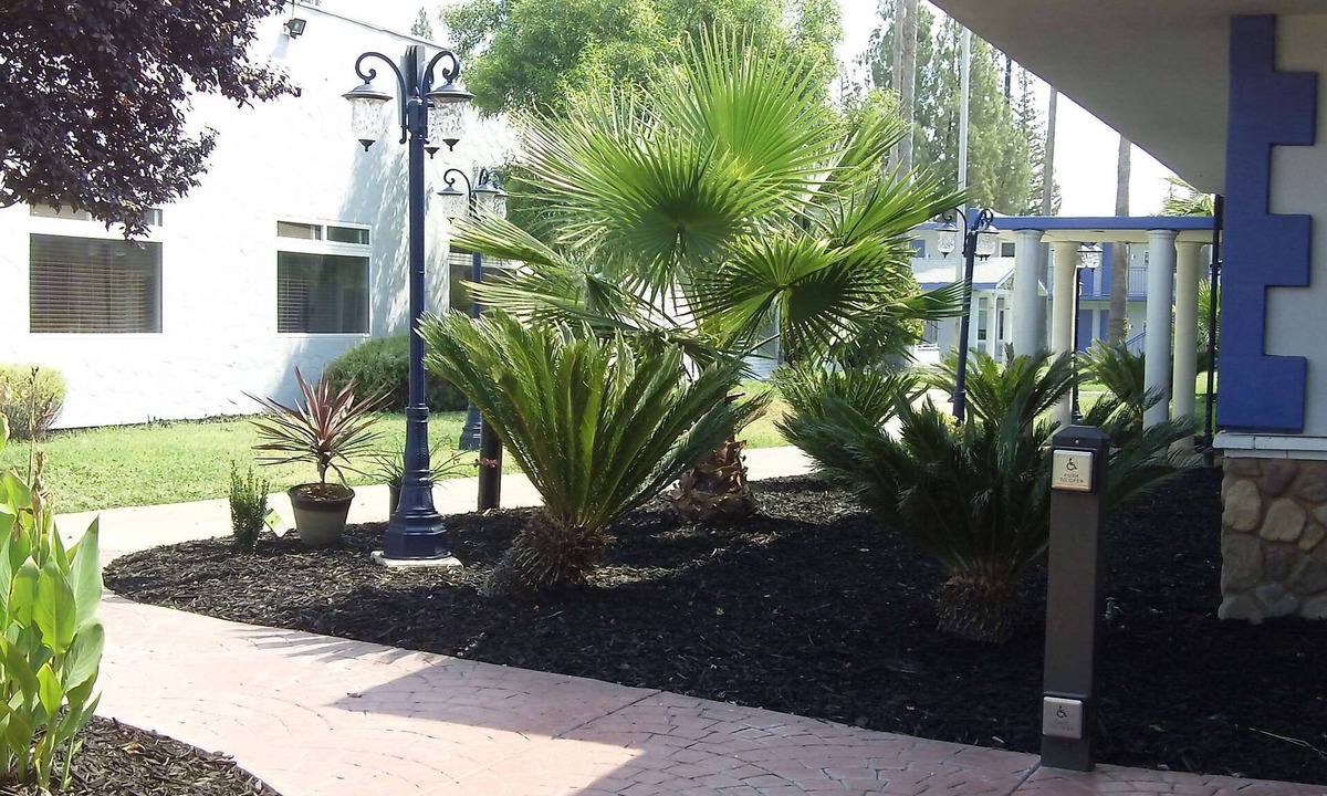Woodlake Hotel | SureStay Plus Hotel by Best Western Sacramento Cal Expo
