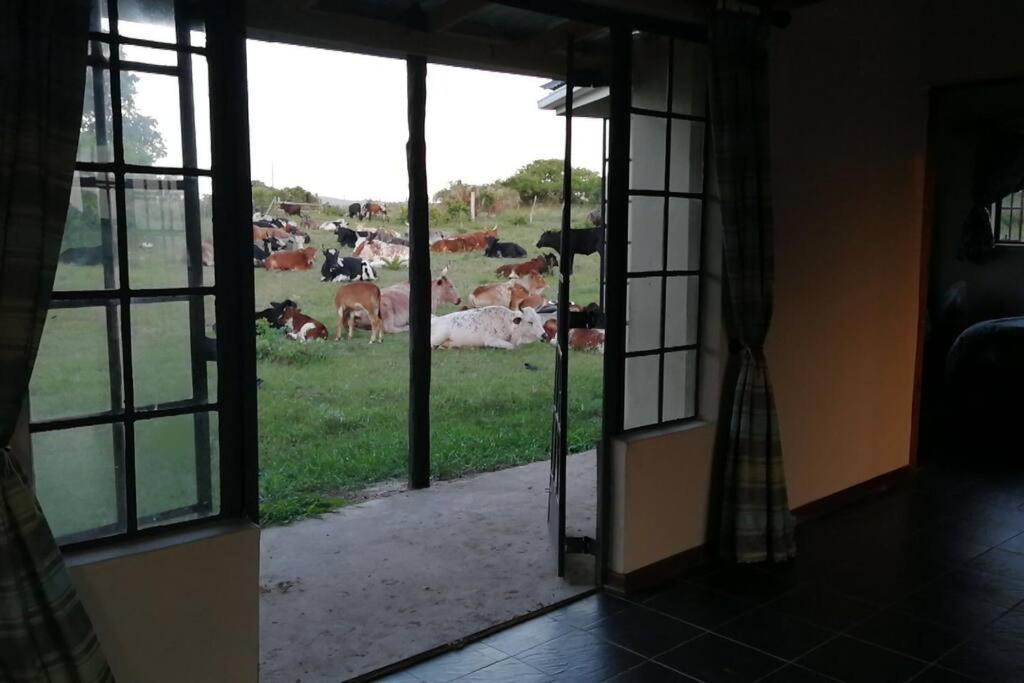 uMhlabuyalingana House | Suthu Farm House