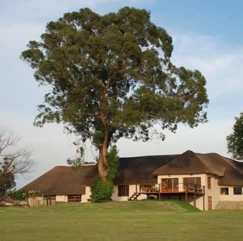 Govan Mbeki Hotel | ThakhuBrunfelsia