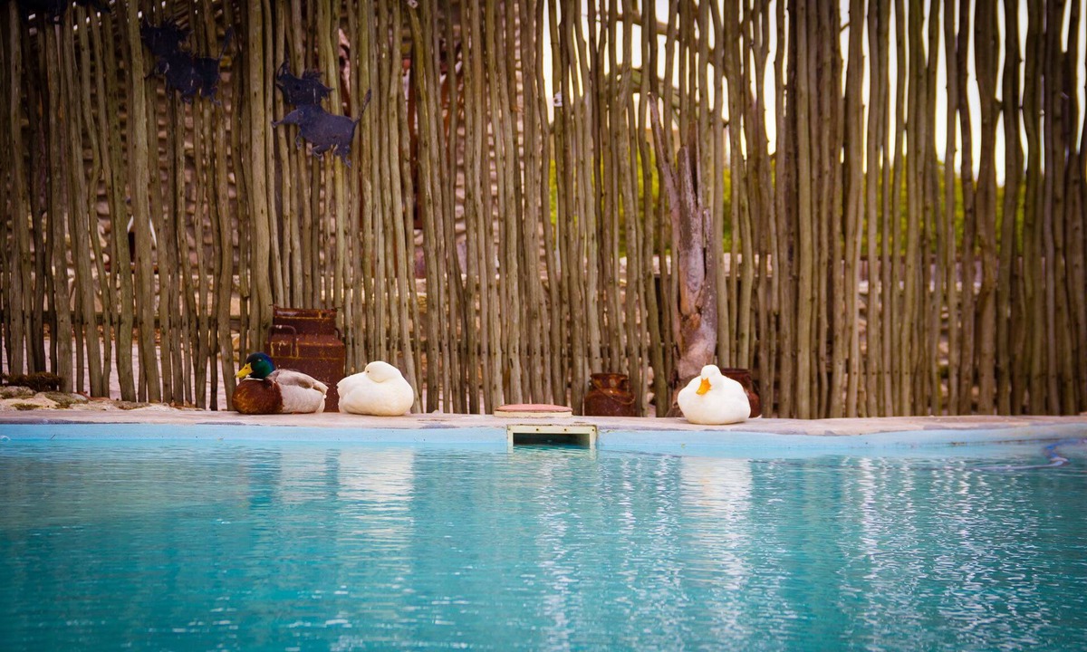 Saldanha Bay Cabin | Thali Thali Game Lodge