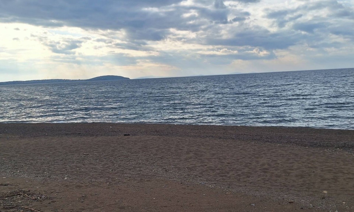 Oren Mahallesi Apartment | Thassos Apart Otel