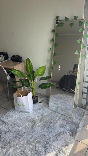 Braamfontein Apartment | The Bridgeview