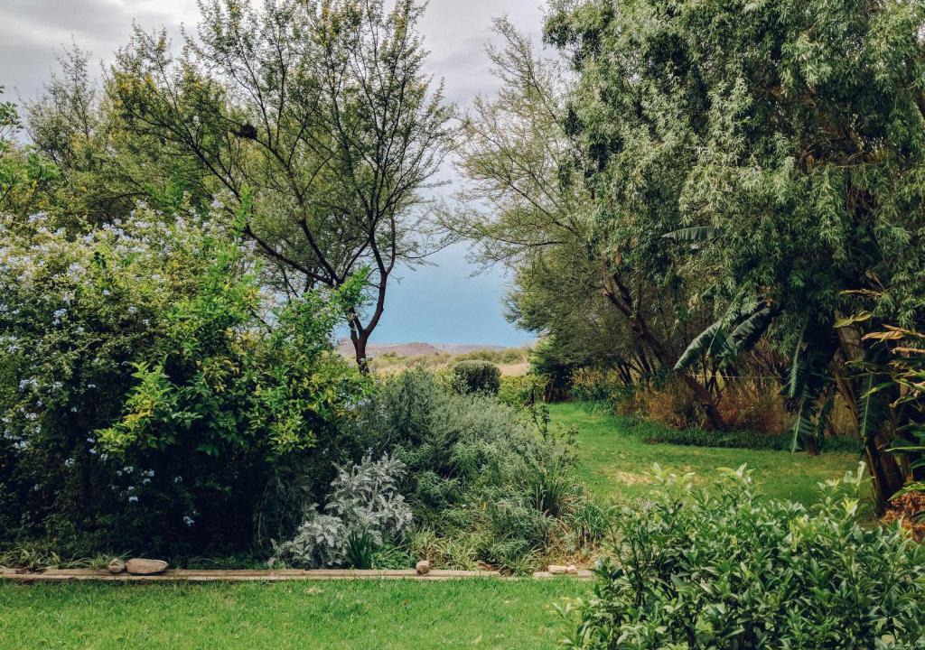 Prince Albert House | The Cottage