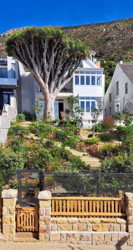 Kalk Bay House | The Dragon Tree Guesthouse