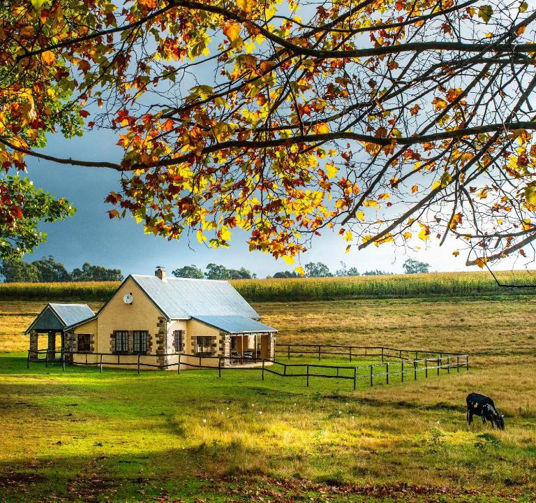 Nottingham Road Ski Chalet | The FarSide Dam Cottage