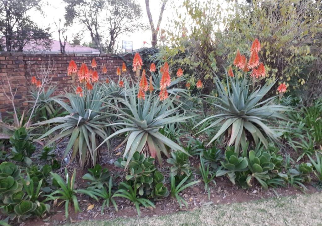 Piet Retief House | The Greendoor Guesthouse