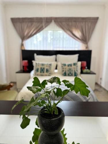 Vereeniging Apartment | The Herby Taylor Guest House