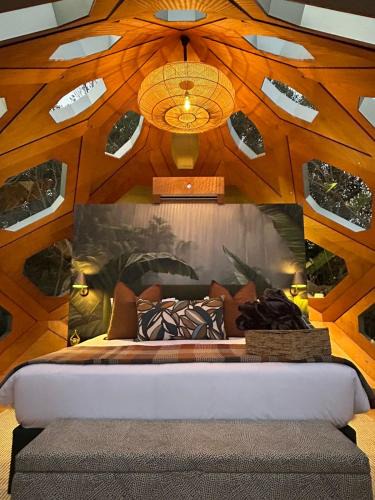 Storms River Other | The Hive - Jungle at Misty Mountain Reserve