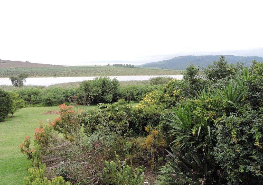 Camperdown Bed & Breakfast | The Owl House