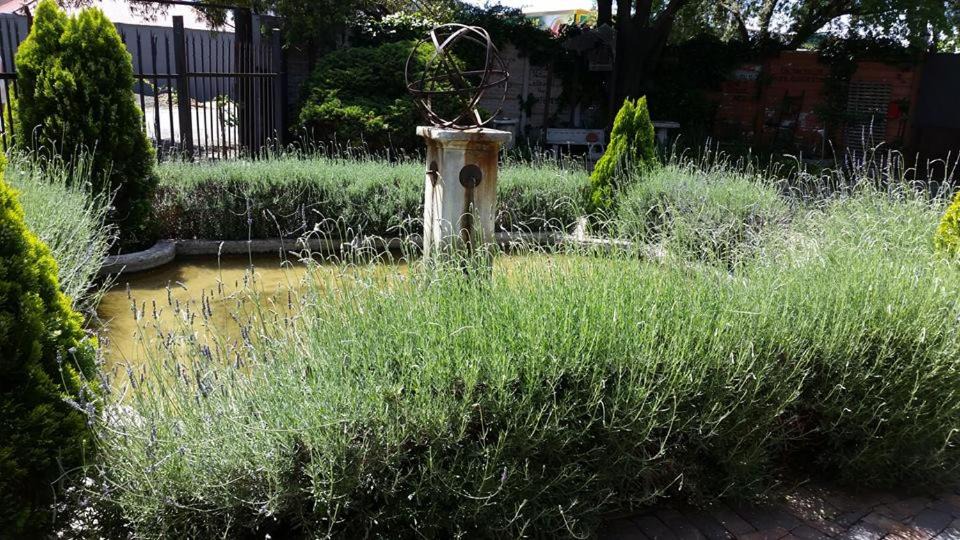 Trichardt House | The Yardt Guest House