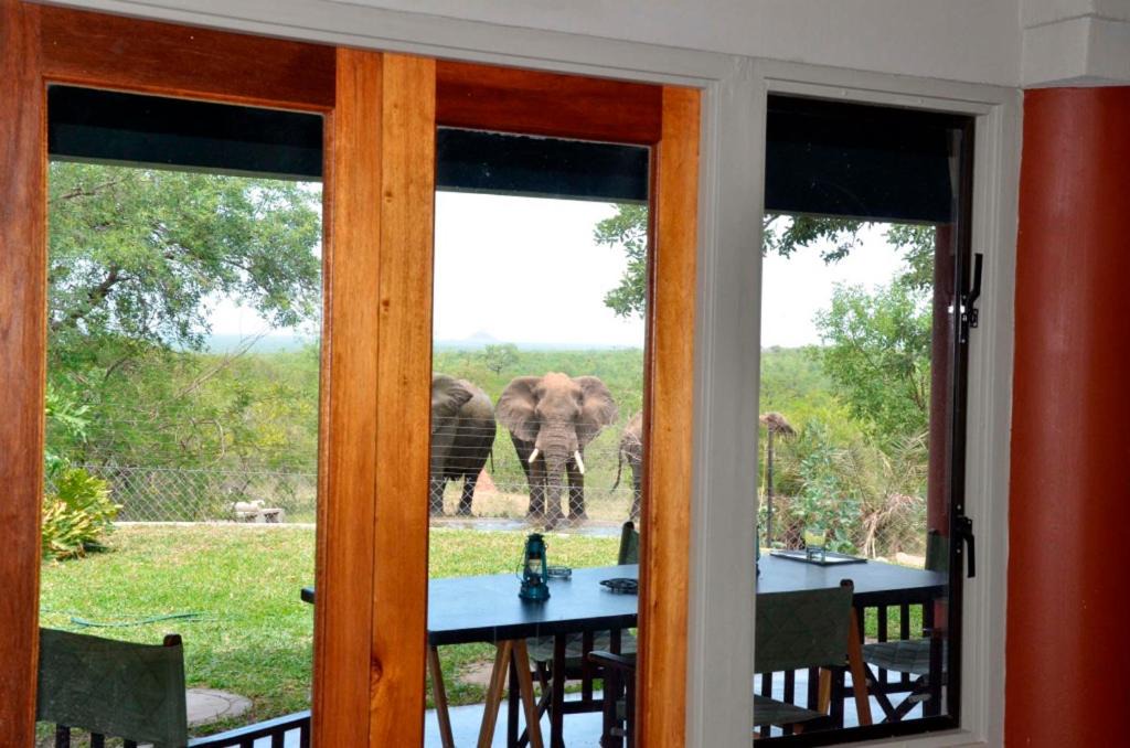 Phalaborwa Cabin | Tingala Lodge - Bed in the Bush