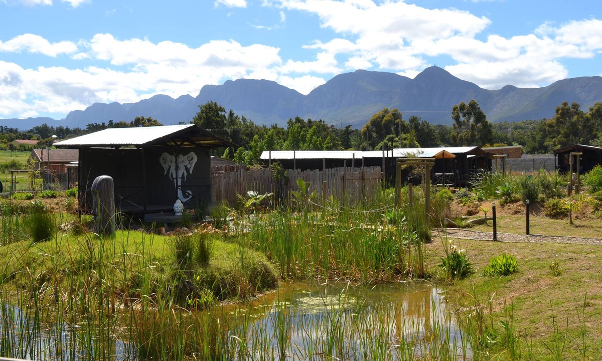 Gordons Bay Central Hostel | Tiripanu backpackers the bakcpackers home away from home