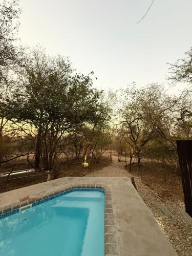 Marloth Park House | Veni Vidi Amavi Luxury Safari Treehouse