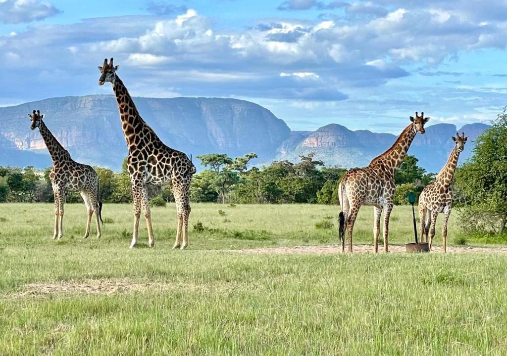 Mookgopong Other | Vilagama Game Lodge
