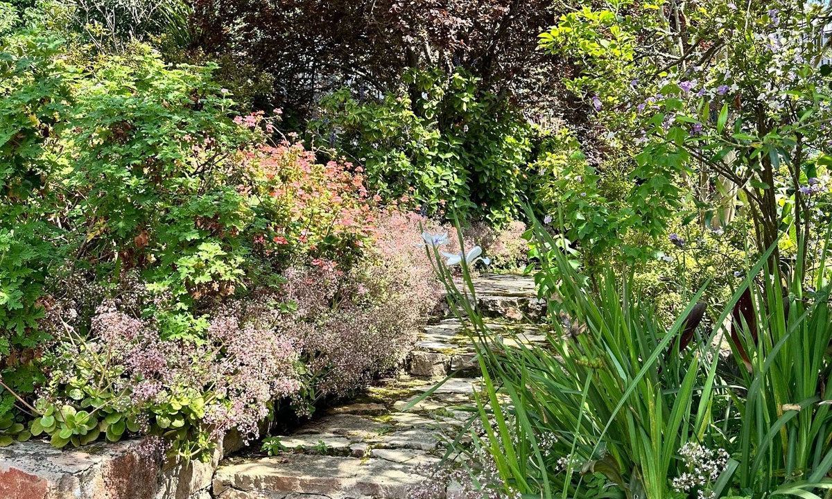 Grabouw House | Warm & Welcoming Cottage - Your Perfect Getaway