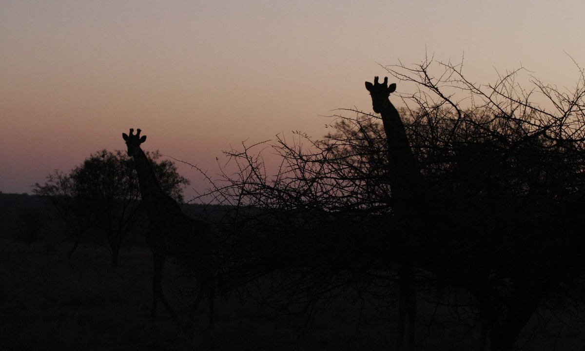 Waterberg Cabin | Waterberg Travelcation -Nature Getaway