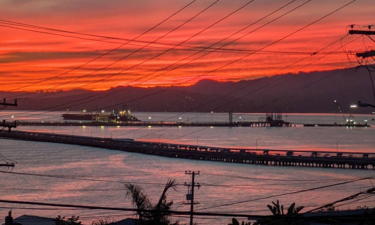 Point Richmond House | Waterfront Bridge & Bay Views! SF, Napa, Marin, Berkeley - Spacious Retreat