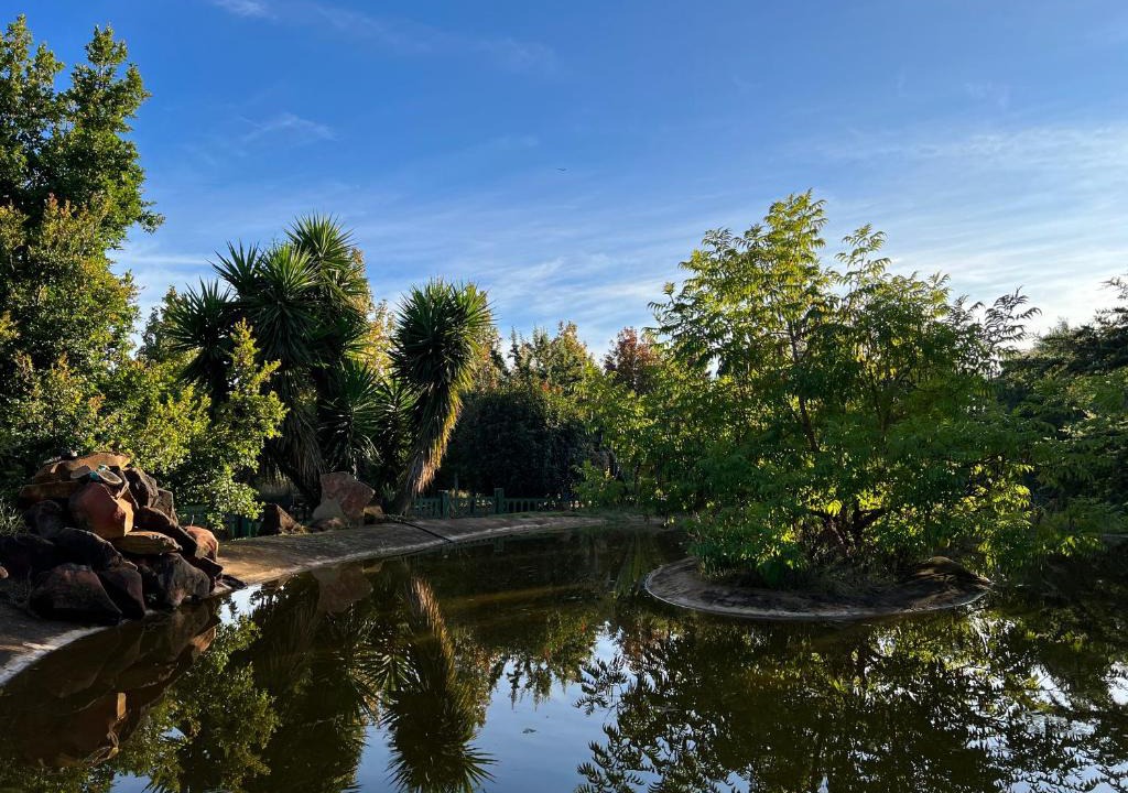 Tierpoort House | White Linen Guesthouse