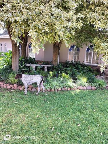 Nala House | WHY NOT GUESTHOUSE