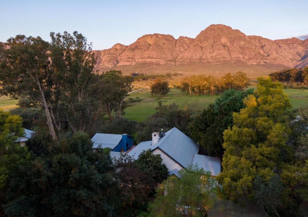 Hermon House | Wild Olive House