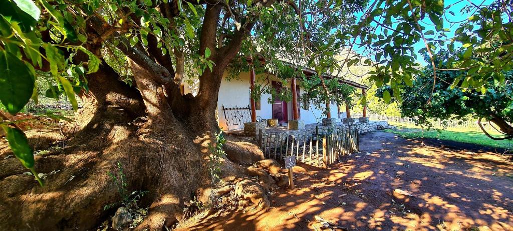 Studtis House | Wildedruifhuisie