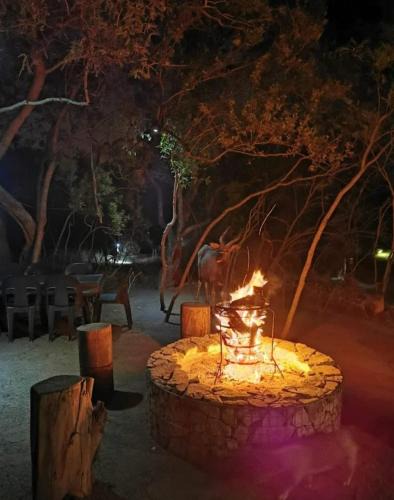 Kareeberg Other | Wildland Safaris