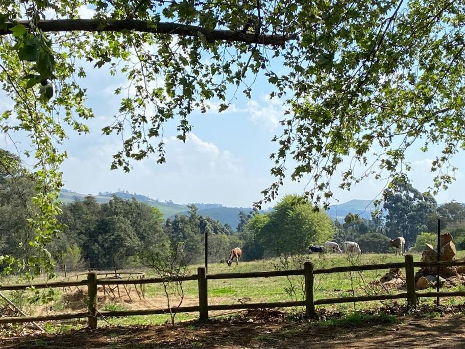 Curry's Post House | Yellowwoods Farm - WILLOUGHBYS COTTAGE and OLD STABLES COTTAGE