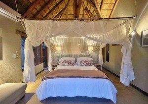10 Raptors Lodge