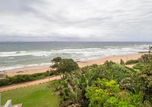 16 Bronze Bay