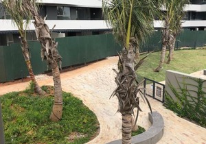 246 Pebble Beach, Sibaya