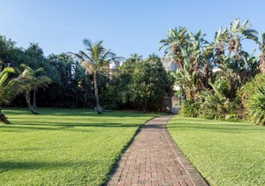 305 La Ballito