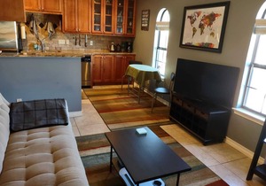 Central Hyde Park Condo in Austin